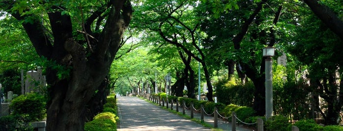 Aoyama Cemetery is one of TR12TR2 Tokyo.
