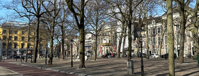 Lange Voorhout is one of The Hague.
