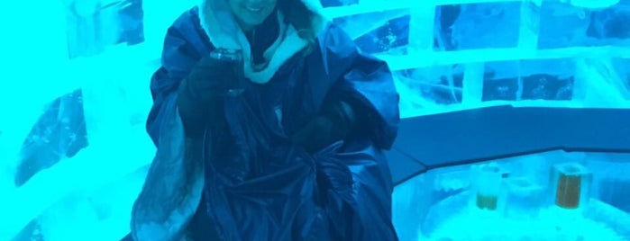 Icebar by Icehotel Stockholm is one of Bengiさんのお気に入りスポット.