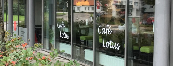 Café Lotus is one of Norvège.