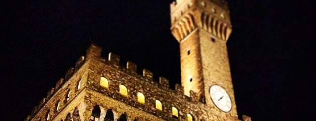 Palazzo Vecchio is one of Firenze.
