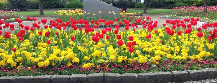 Coronation Gardens is one of Benさんのお気に入りスポット.