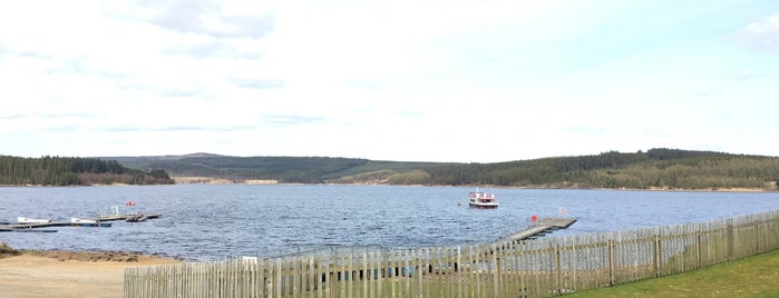 Kielder Forest is one of Tristanさんのお気に入りスポット.