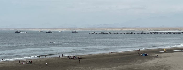 Chicama Beach - Worlds Longest Wave is one of Peru.