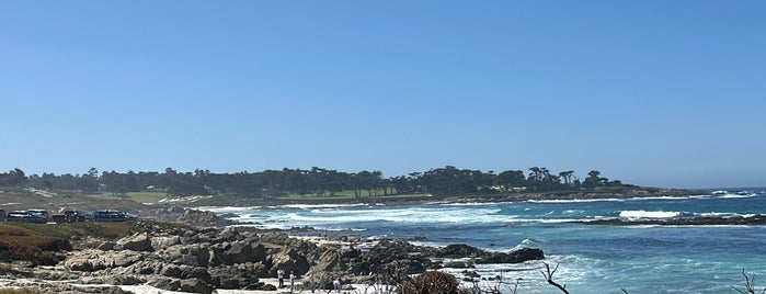 17 Mile Drive - Picnic Rocks is one of Kalifornien.