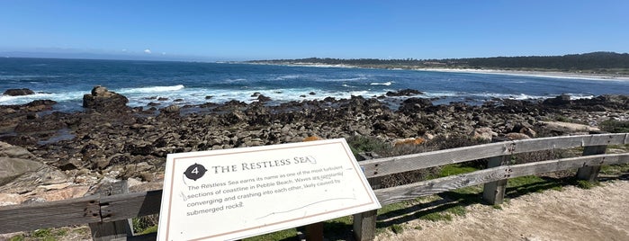 The Restless Sea is one of 17 Mile Drive.