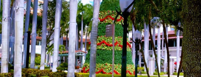 Merrick Park Garden is one of Aluxe Miami-Palm Beach.