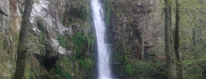 Cascadas de Oneta is one of สถานที่ที่บันทึกไว้ของ Nuria.