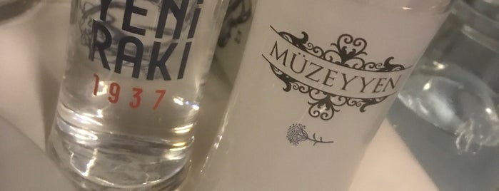 Müzeyyen is one of Meyhane/Taverna.