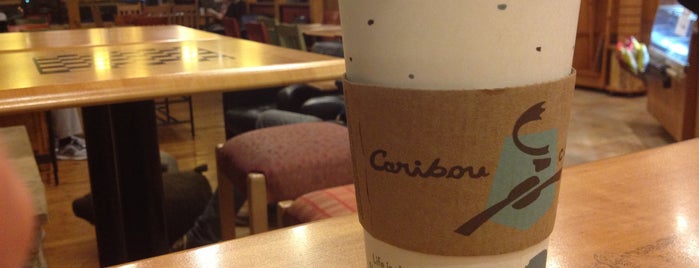 Caribou Coffee is one of Great coffee meeting joints.