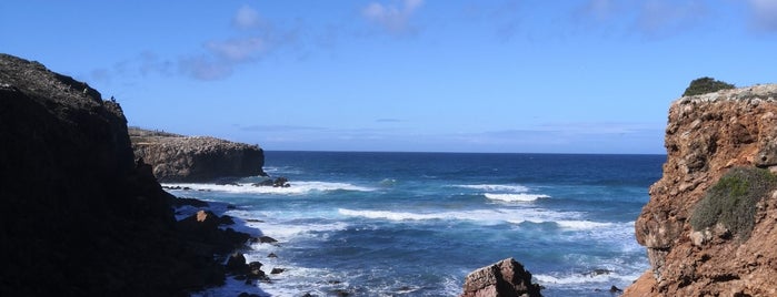 Praia da Bordeira is one of Surfing-2.