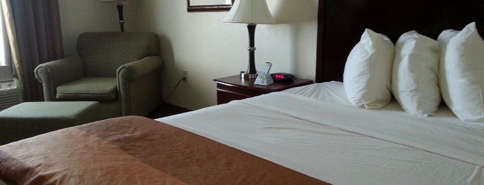 Best Western Palace Inn & Suites is one of Likes.