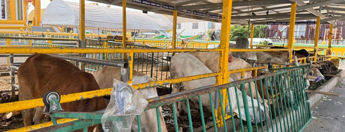 วัดประดู่ในทรงธรรม is one of TH-Temple-1.