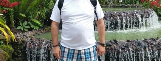 Singapore Botanic Gardens is one of Emre'nin Kaydettiği Mekanlar.