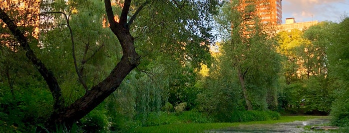 Ботанический сад МГУ «Аптекарский огород» is one of Vlad : понравившиеся места.