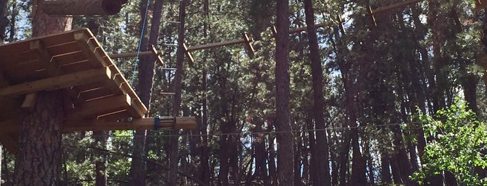 Zip Line & Aerial Adventure Park is one of Mark’s Liked Places.