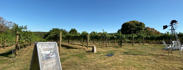 Montifalco Vinyard is one of Tommy'un Beğendiği Mekanlar.