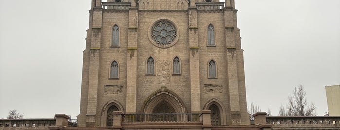 Римско-Католический Собор Святейшего Сердца Иисуса / The Roman Catholic Cathedral of Sacred Heart of Jesus is one of Ташкент.