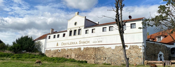 Svachovka is one of Český Krumlov.