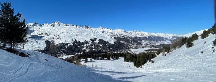 Corvatsch is one of Schweiz.