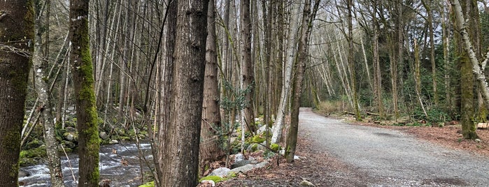 Mosquito Creek Park is one of A Guide to Vancouver (& suburbia).