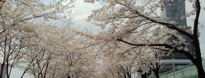 Seokchon Lake - East is one of Outdoor Activities.