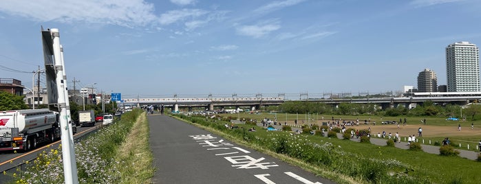 Futako Bridge is one of かながわの橋100選.