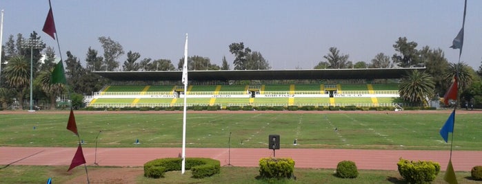Estadio "Palillo" Martinez is one of สถานที่ที่ Jomi ถูกใจ.