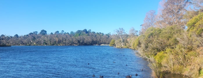 Wentworth Falls Lake is one of Sydney.