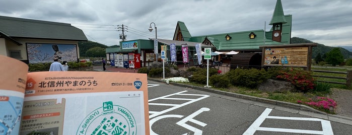 道の駅 北信州やまのうち is one of 長野県内の公共施設.