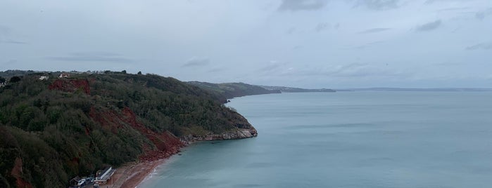 Babbacombe Downs is one of Torquay.