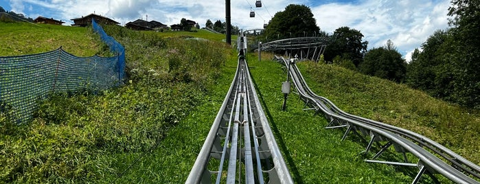 Alpine Coaster is one of Zell am See.