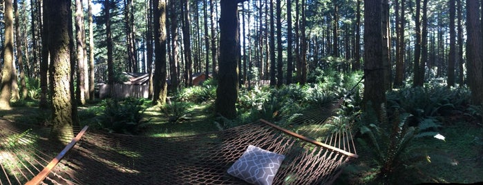 WildSpring Guest Habitat is one of Oregon To-Do.
