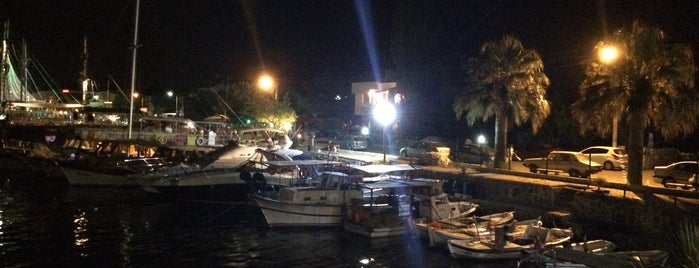 Güzelçamlı Yat Limanı is one of Tempat yang Disukai Elif Özge.