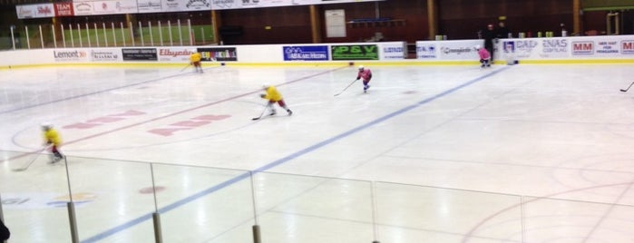 Ludvika Lightening is one of Ice hockey arenas.