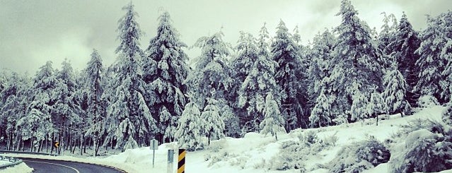 Parque Natural da Serra da Estrela is one of Katia'nın Beğendiği Mekanlar.