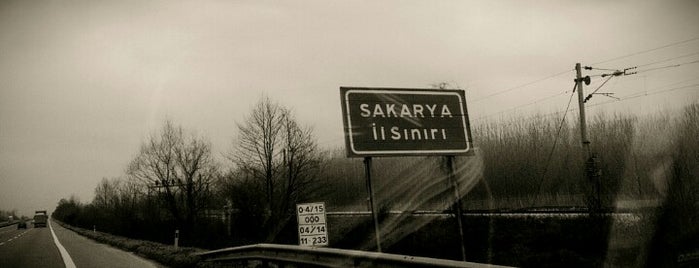 Sakarya is one of Gizem.