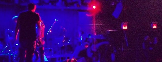 Le Poisson Rouge is one of NYC Music Venues.