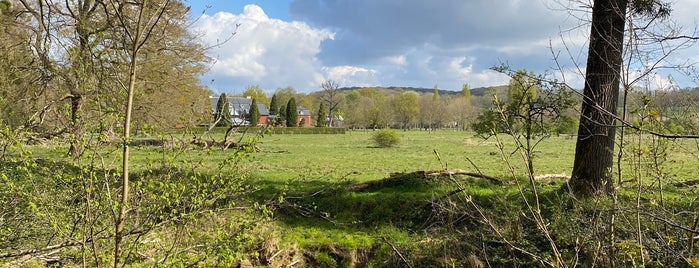 Natuurpark Ingendael is one of Lugares favoritos de Dirk.