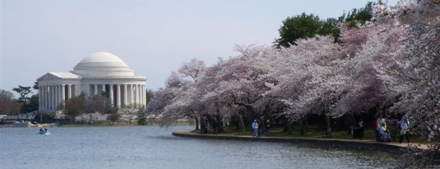 Tidal Basin is one of Marine Corps Marathon 2012.