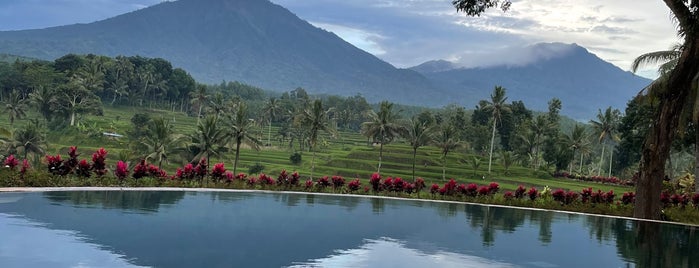 Ijen Resort & Villas is one of Top 10 favorites places in Indonesia.