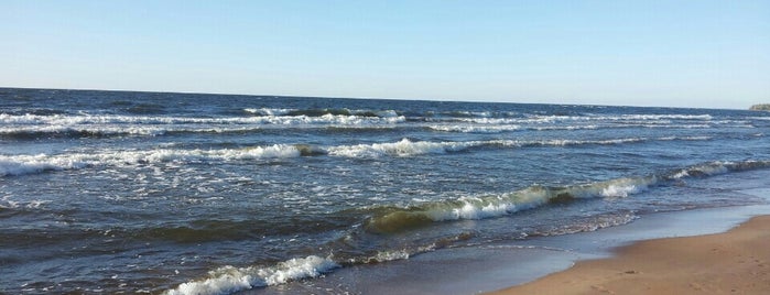 Липовский пляж is one of Сосновый Бор.