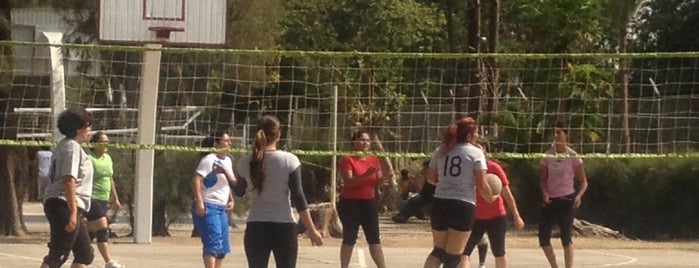 Canchas CUCEI is one of Fuerzas basicas.