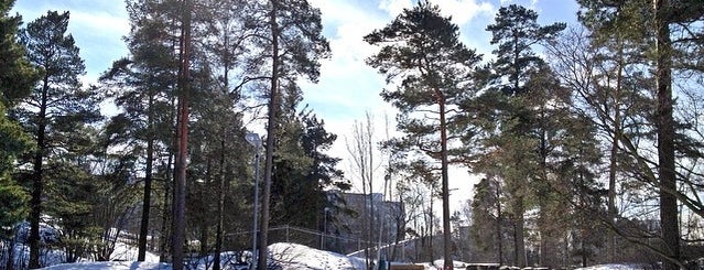 Pihlajamäki / Rönnbacka is one of Favorite spots.