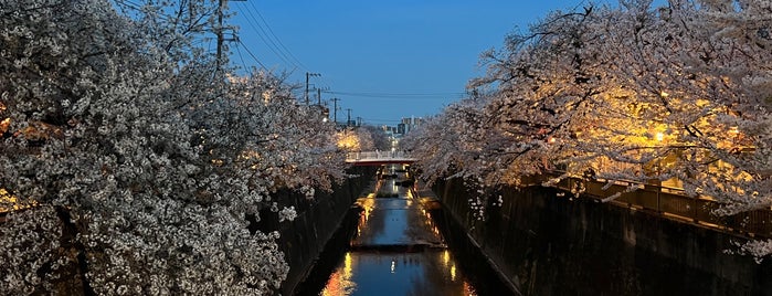 向屋敷橋 is one of 橋.