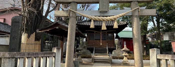蓮沼氷川神社 is one of 神社_東京都.