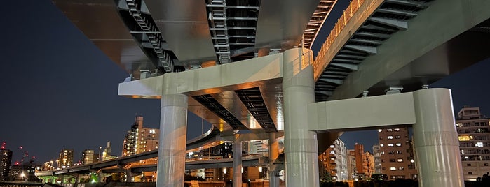 両国大橋 is one of 土木学会田中賞受賞橋.