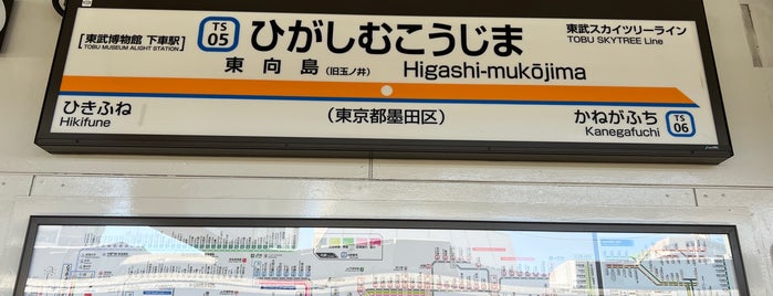 Higashi-mukojima Station (TS05) is one of 東武鉄道.