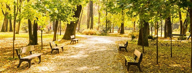 Parcul Kiseleff is one of Places to visit in Bucharest.