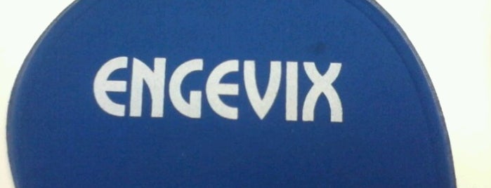 Engevix Engenharia is one of Engevix Engenharia S.A..